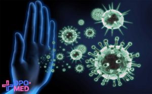 Дистанционное обучение иммунология