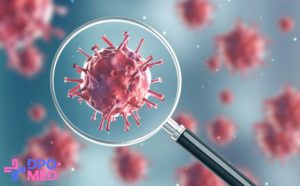 Возникновение и распространение новой коронавирусной инфекции
